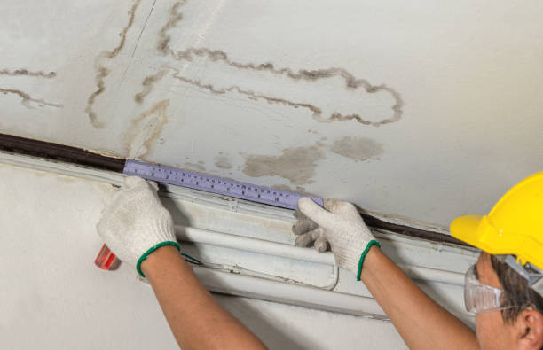 Reliable Mold Remediation contractor in Cedar Bluff, VA by Water Damage Irwin